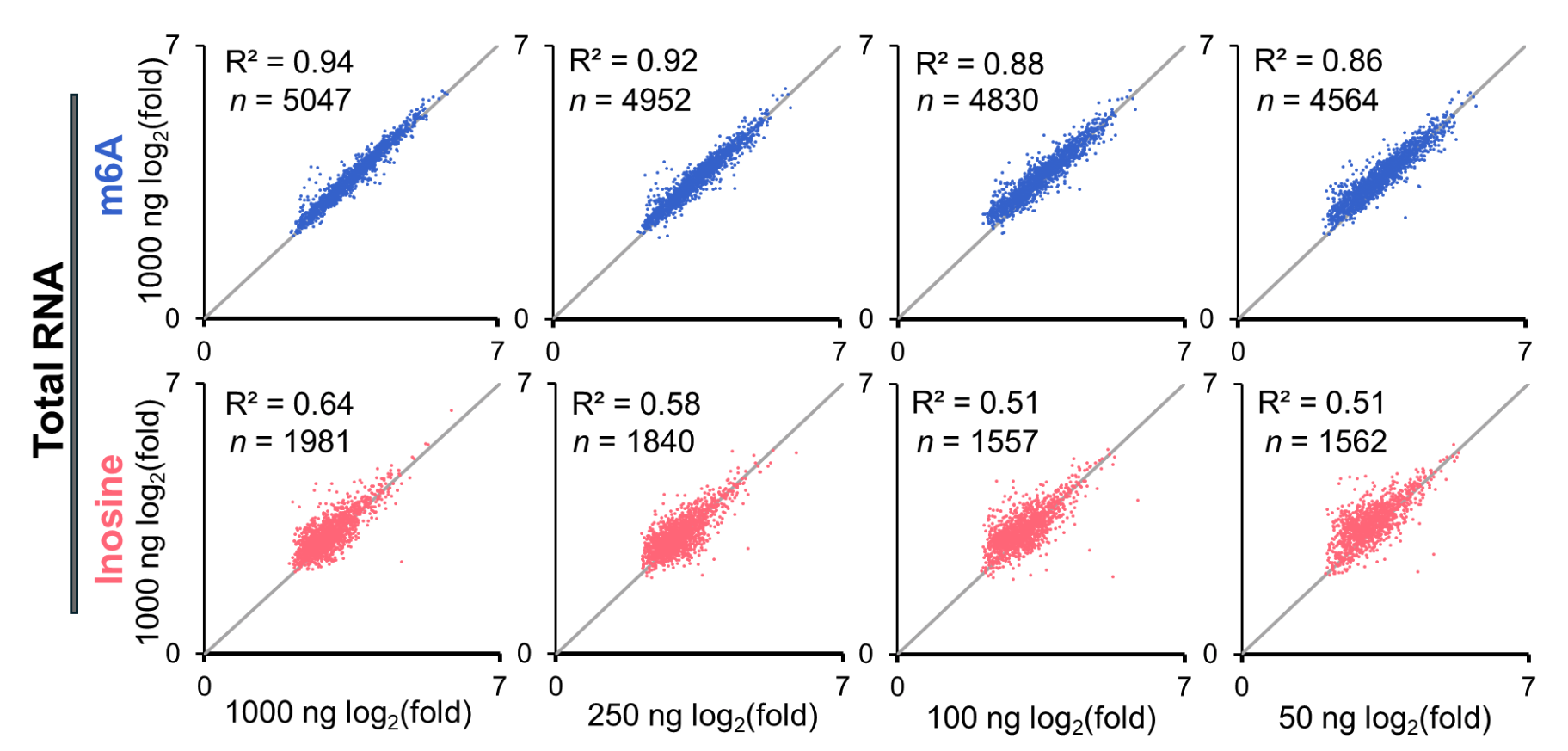 A series of eight scatter plots comparing RNA modification peak intensities at 1000 ng total RNA input versus decreasing input amounts (1000, 250, 100, and 50 ng) for two modification types: m6A (top row, blue) and inosine (bottom row, pink). Each plot shows log₂(fold change) values on both axes with a gray diagonal reference line indicating perfect correlation. The R² values (ranging from 0.94 to 0.86 for m6A and 0.64 to 0.51 for inosine) and the number of peaks (n) are displayed in each plot, illustrating that m6A detection remains highly consistent across input amounts, while inosine reproducibility declines more sharply at lower inputs.