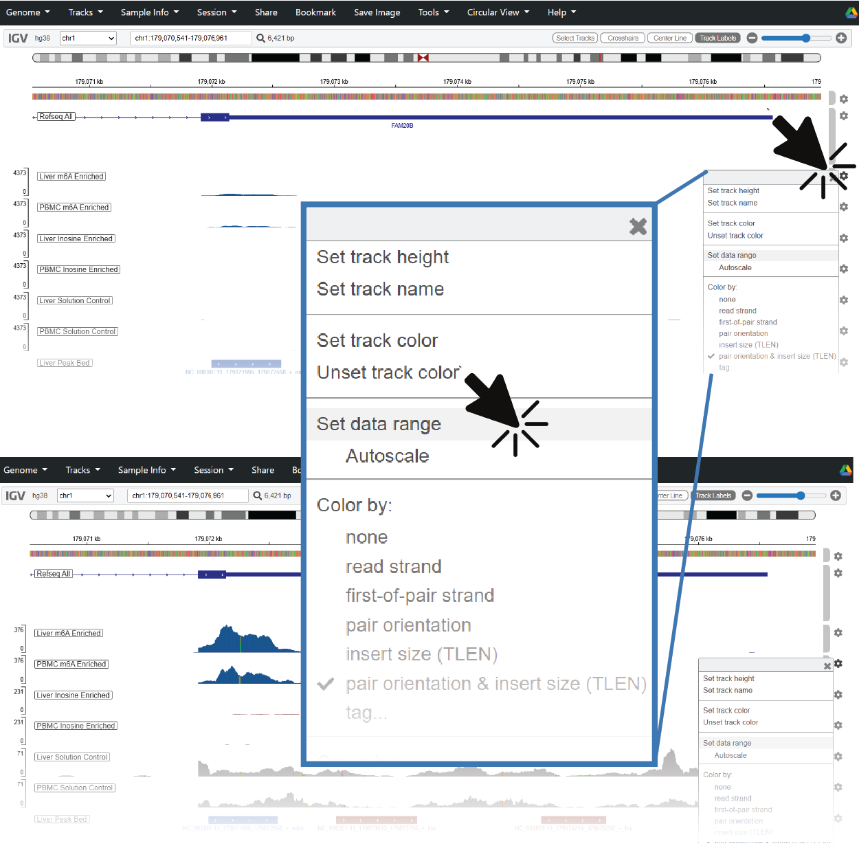 Adjust Y-axis scaling and track height in IGV