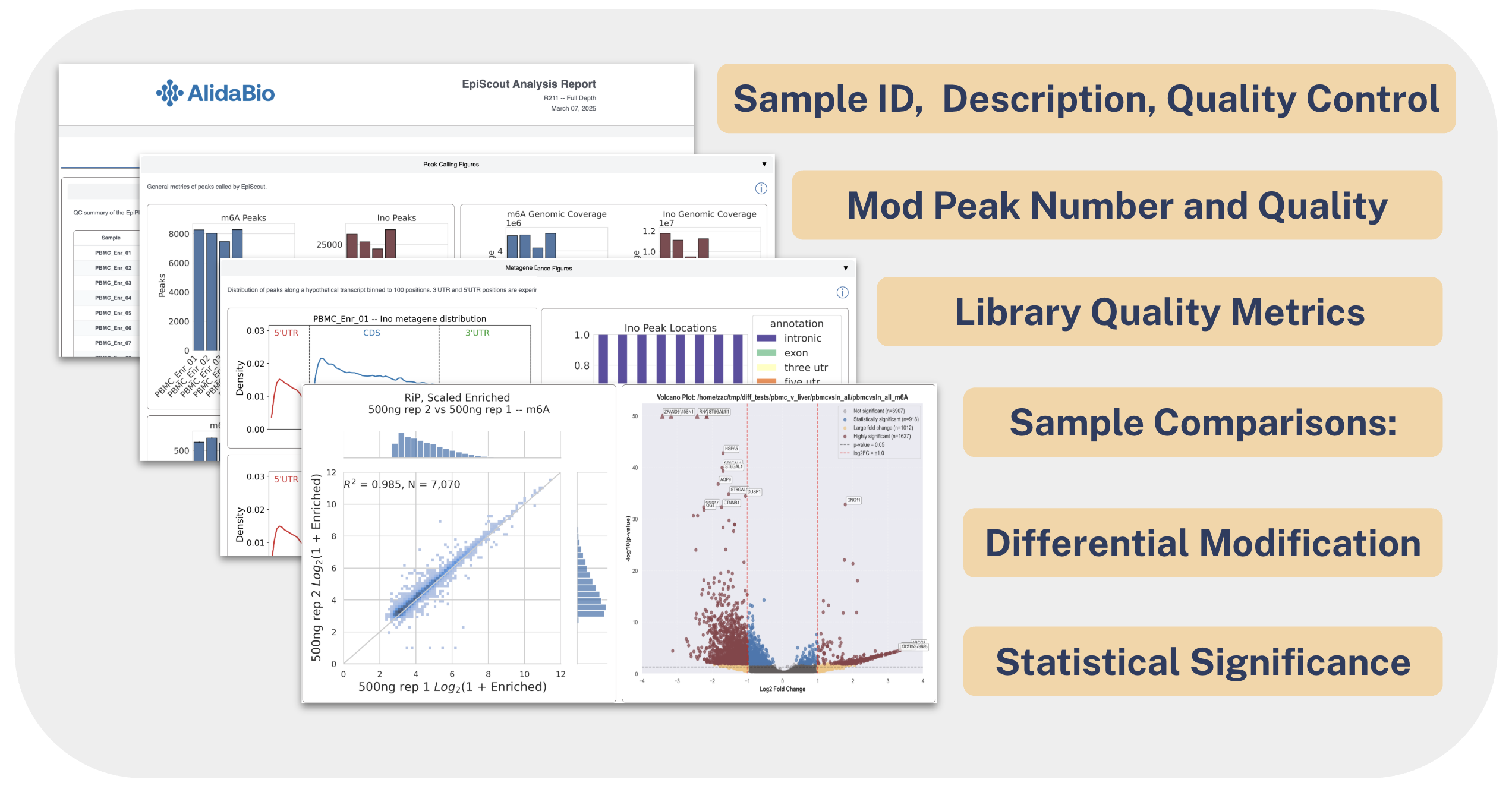 EpiScout Report Preview